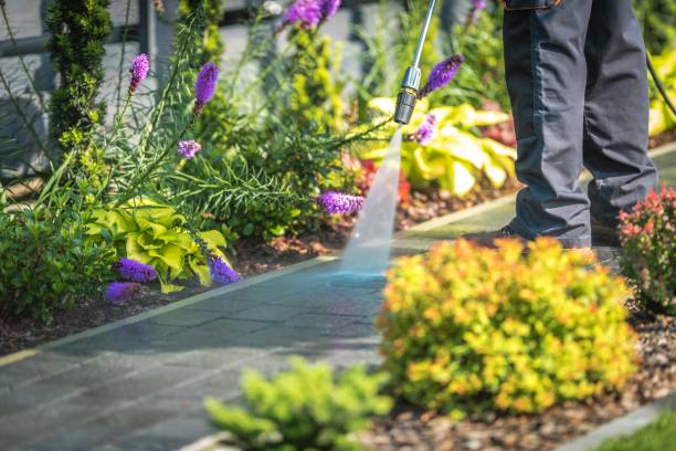 Best Driveway Pressure Washing  in Cartersville, GA